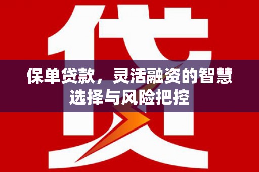 南涧保单贷款，灵活融资的智慧选择与风险把控