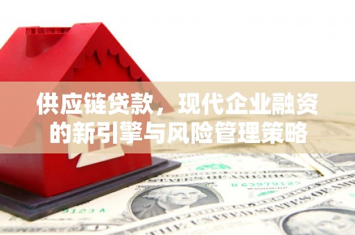 南涧供应链贷款，现代企业融资的新引擎与风险管理策略