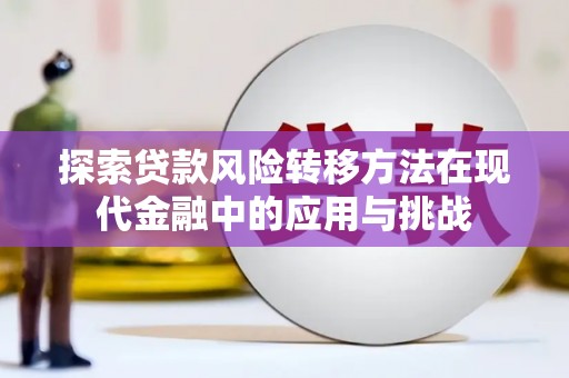 南涧探索贷款风险转移方法在现代金融中的应用与挑战