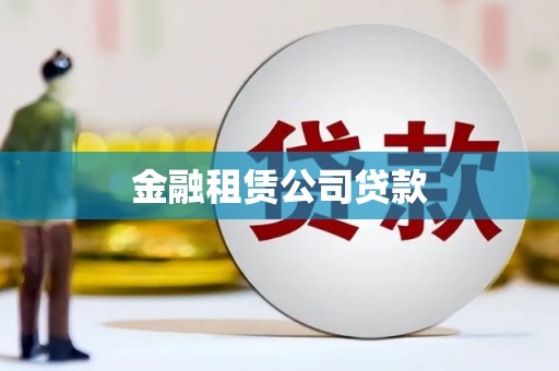 南涧金融租赁公司贷款