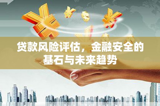 南涧贷款风险评估，金融安全的基石与未来趋势