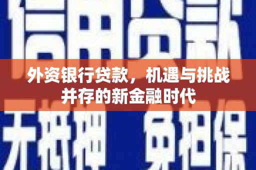 南涧外资银行贷款，机遇与挑战并存的新金融时代