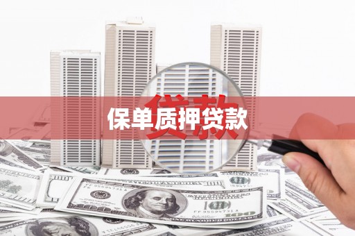 南涧保单质押贷款