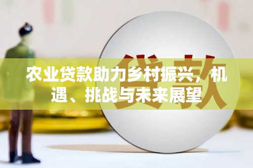 南涧农业贷款助力乡村振兴，机遇、挑战与未来展望