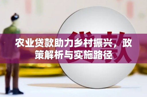 南涧农业贷款助力乡村振兴，政策解析与实施路径