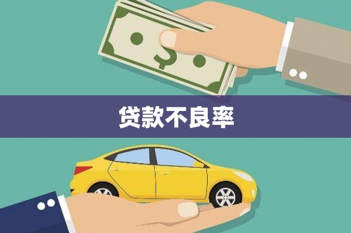 南涧贷款不良率