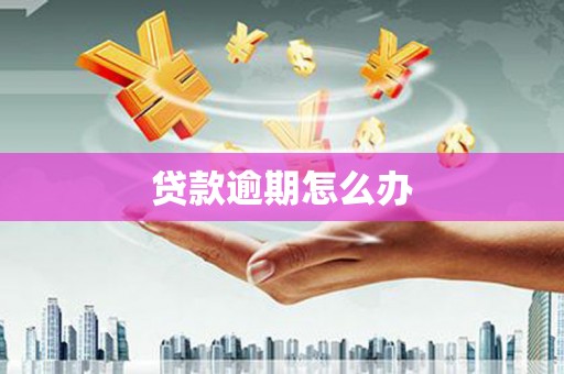 南涧贷款逾期怎么办