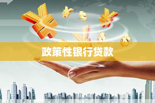 南涧政策性银行贷款