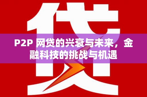 南涧P2P 网贷的兴衰与未来，金融科技的挑战与机遇