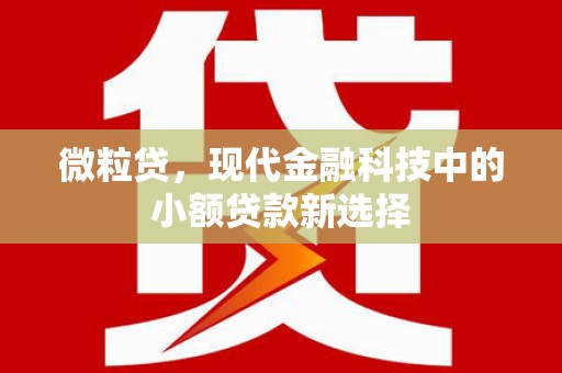 南涧微粒贷，现代金融科技中的小额贷款新选择