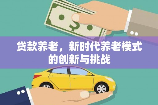 南涧贷款养老，新时代养老模式的创新与挑战