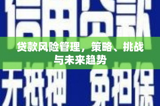 南涧贷款风险管理，策略、挑战与未来趋势