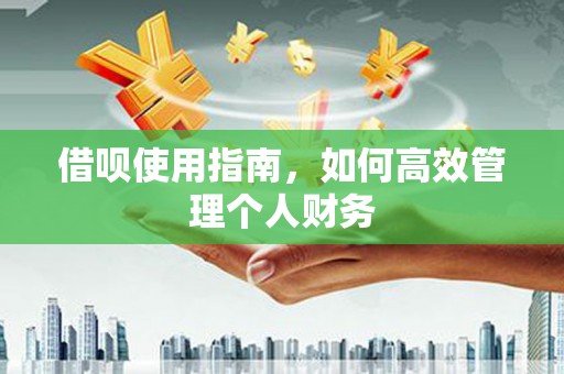 南涧借呗使用指南，如何高效管理个人财务