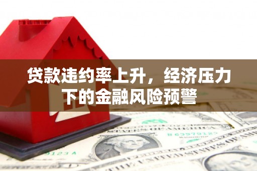 南涧贷款违约率上升，经济压力下的金融风险预警