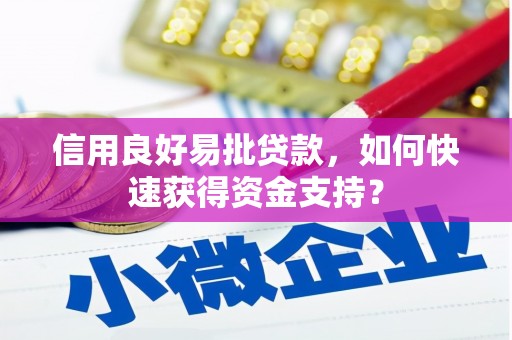 南涧信用良好易批贷款，如何快速获得资金支持？