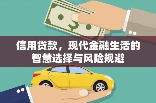 南涧信用贷款，现代金融生活的智慧选择与风险规避