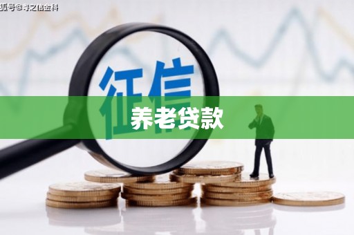 南涧养老贷款