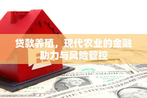 南涧贷款养殖，现代农业的金融助力与风险管控
