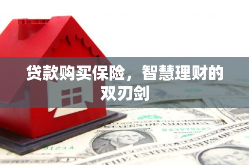 南涧贷款购买保险，智慧理财的双刃剑
