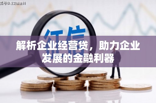 南涧解析企业经营贷，助力企业发展的金融利器