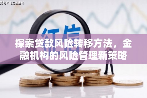 南涧探索贷款风险转移方法，金融机构的风险管理新策略