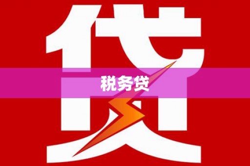 南涧税务贷
