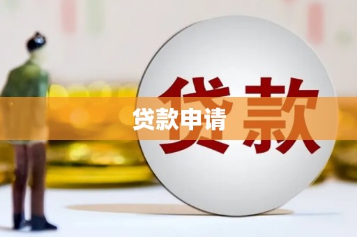 南涧贷款申请