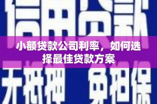 南涧小额贷款公司利率，如何选择最佳贷款方案