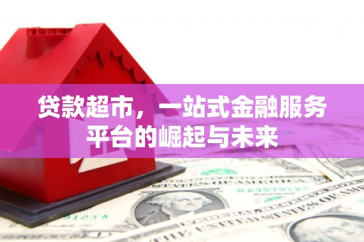 南涧贷款超市，一站式金融服务平台的崛起与未来