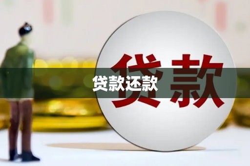 南涧贷款还款