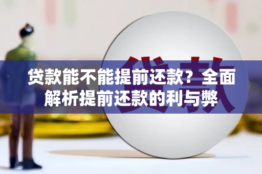 南涧贷款能不能提前还款？全面解析提前还款的利与弊