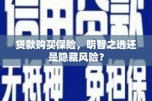 南涧贷款购买保险，明智之选还是隐藏风险？