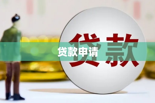 南涧贷款申请