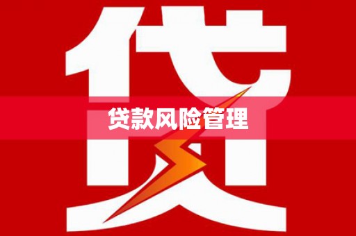 南涧贷款风险管理