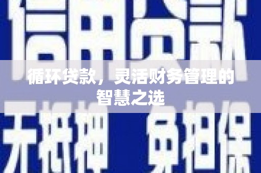 南涧循环贷款，灵活财务管理的智慧之选