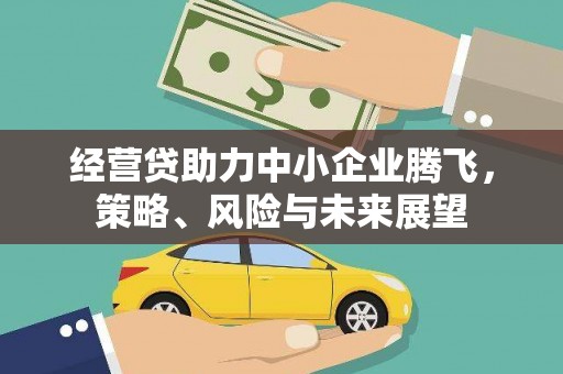 南涧经营贷助力中小企业腾飞，策略、风险与未来展望