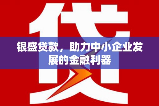 南涧银盛贷款，助力中小企业发展的金融利器