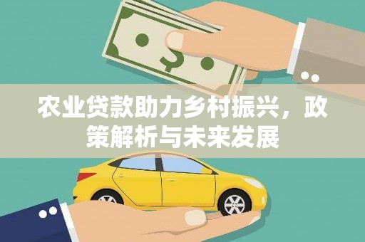 南涧农业贷款助力乡村振兴，政策解析与未来发展