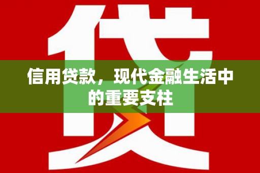 南涧信用贷款，现代金融生活中的重要支柱