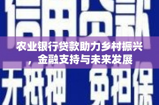 南涧农业银行贷款助力乡村振兴，金融支持与未来发展