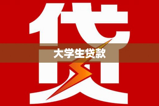南涧大学生贷款
