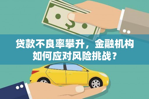南涧贷款不良率攀升，金融机构如何应对风险挑战？