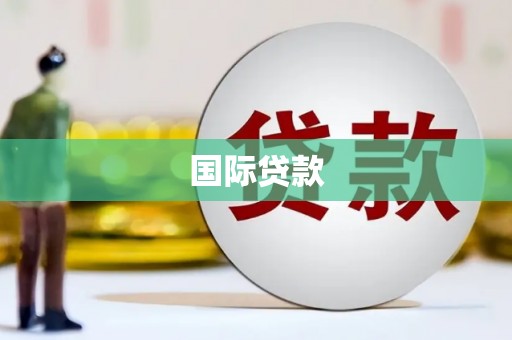 南涧国际贷款