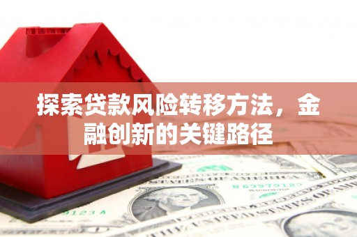 南涧探索贷款风险转移方法，金融创新的关键路径