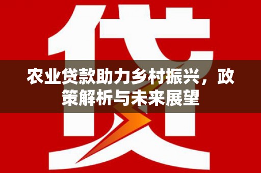 南涧农业贷款助力乡村振兴，政策解析与未来展望