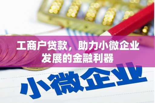 南涧工商户贷款，助力小微企业发展的金融利器