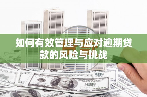 南涧如何有效管理与应对逾期贷款的风险与挑战
