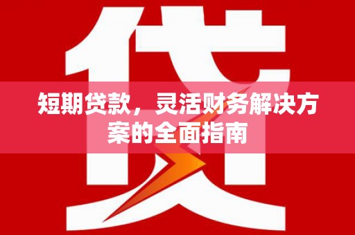 南涧短期贷款，灵活财务解决方案的全面指南