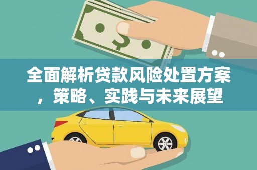 南涧全面解析贷款风险处置方案，策略、实践与未来展望