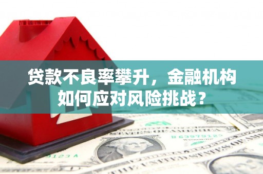 南涧贷款不良率攀升，金融机构如何应对风险挑战？